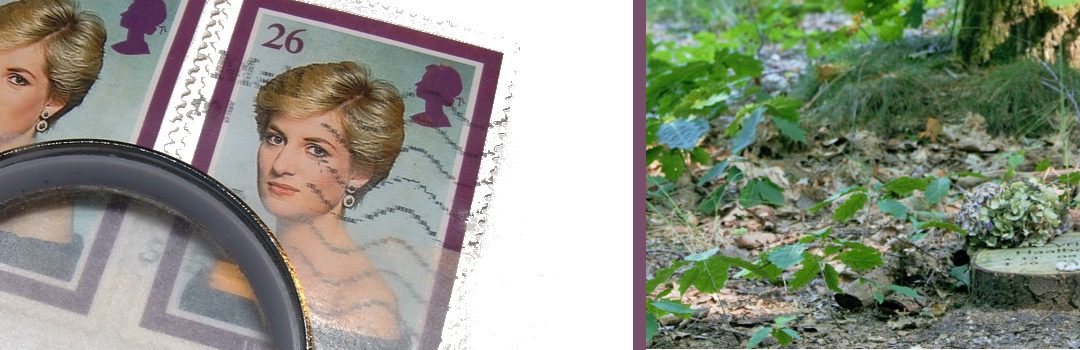 Mijn eerste ervaring op een natuurbegraafplaats