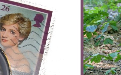 Mijn eerste ervaring op een natuurbegraafplaats